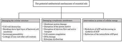 Potential Application of Essential Oils for Mitigation of Listeria monocytogenes in Meat and Poultry Products